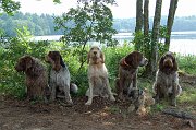 17ApolloDogsJuly31_08 014